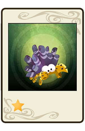 Crustorail Kouraçao