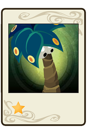 Palmifleur Kouraçao