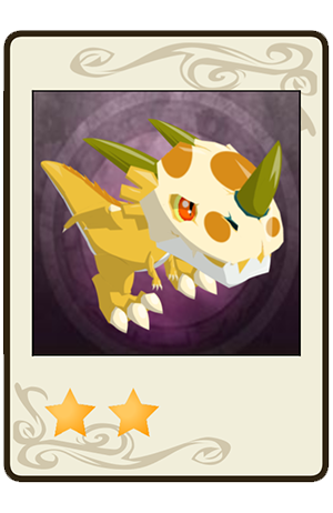 Dragoss Doré Eveillé